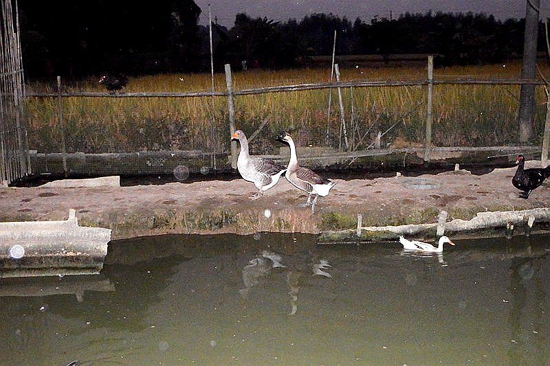 0251.jpg