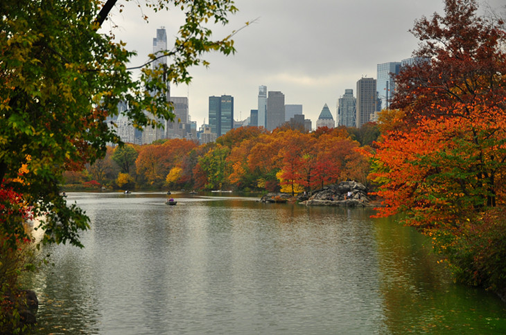 DSC_0089_.jpg
