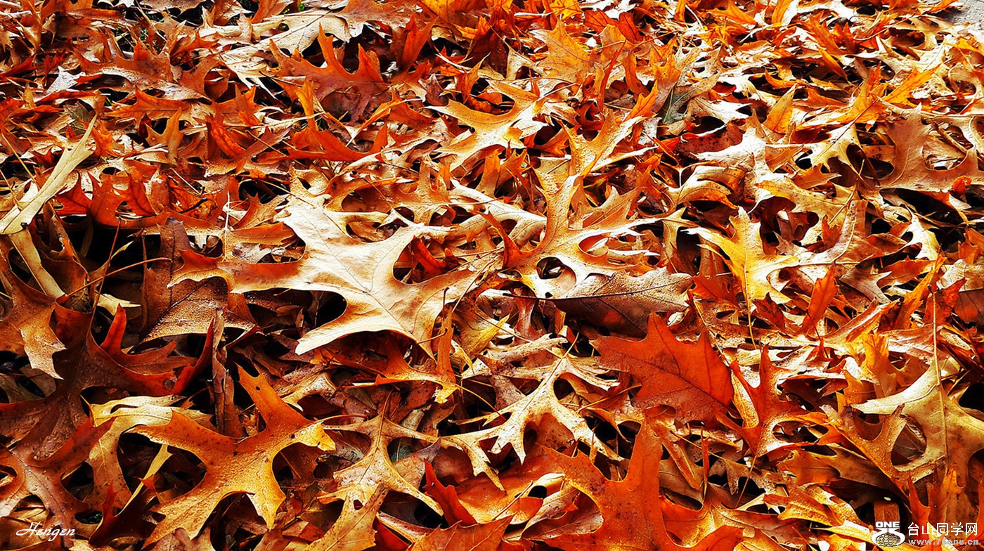 20151105_090101.jpg
