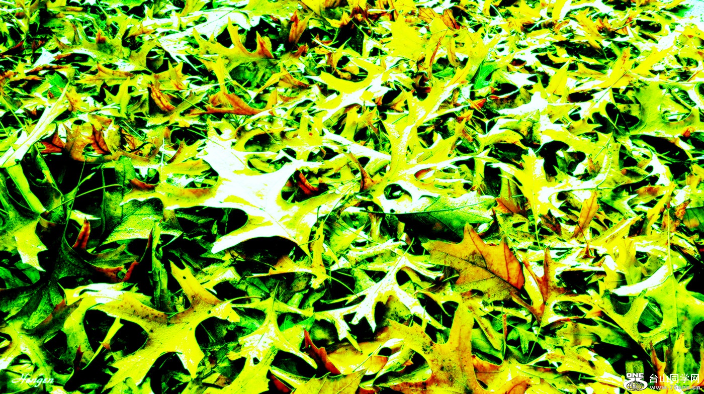 20151105_090101_.jpg