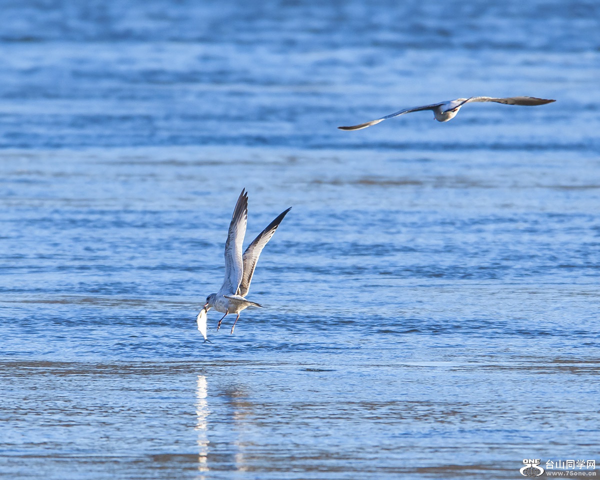 DSC_8636ss.jpg