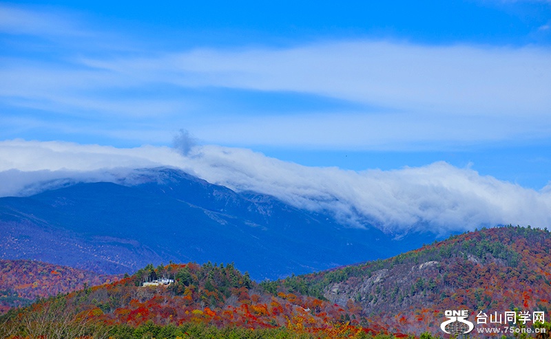 DSC_5582ss.jpg