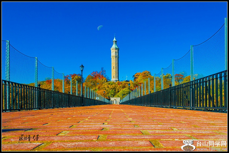 DSC_3559.jpg