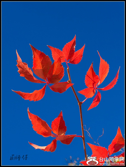 DSCN4901.jpg