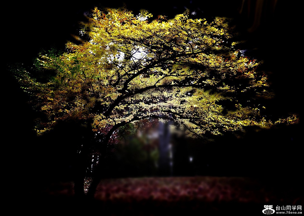 l1020114_conew4.jpg
