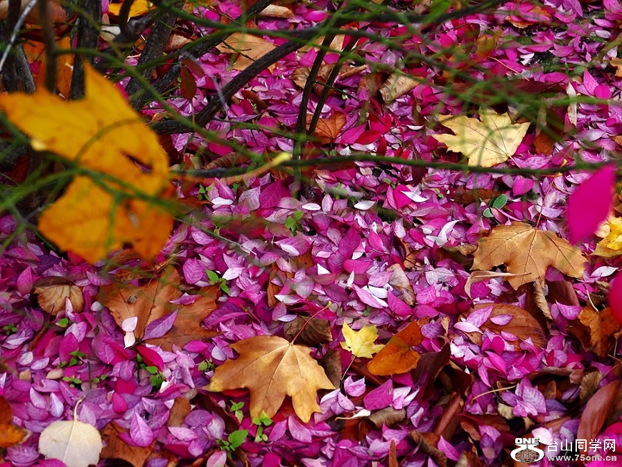 l1000499_conew1.jpg