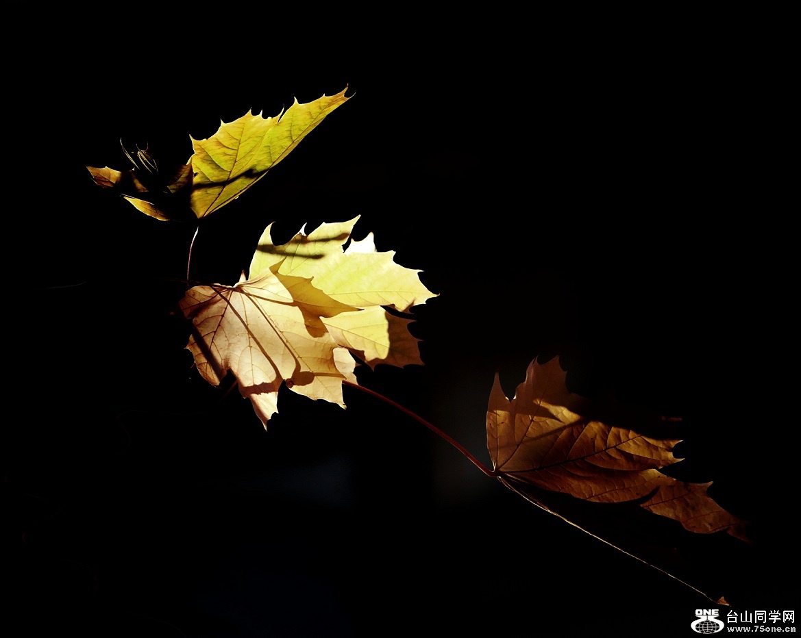 l1030204_conew2.jpg
