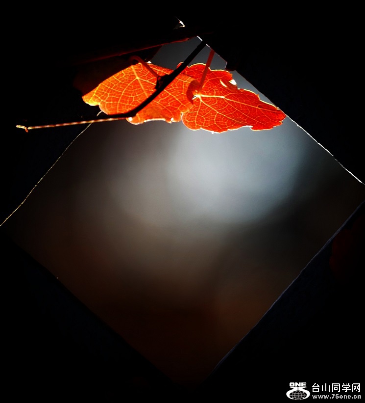 l1040642_conew3.jpg