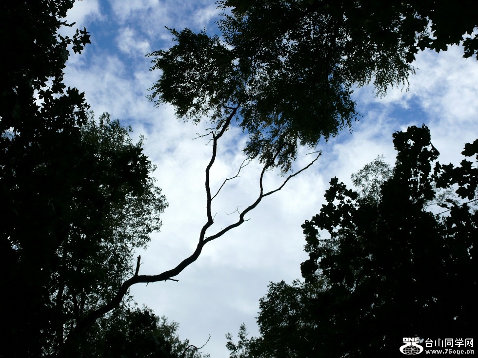 l1730175_conew1.jpg