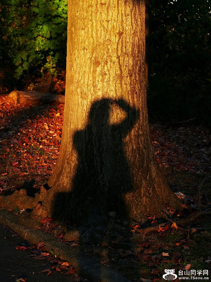 l1020947_conew1.jpg