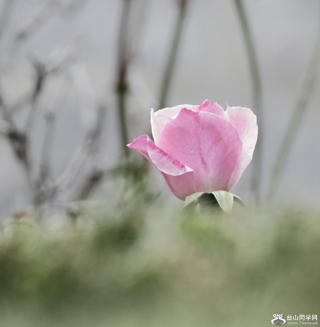 l1000506_conew2.jpg