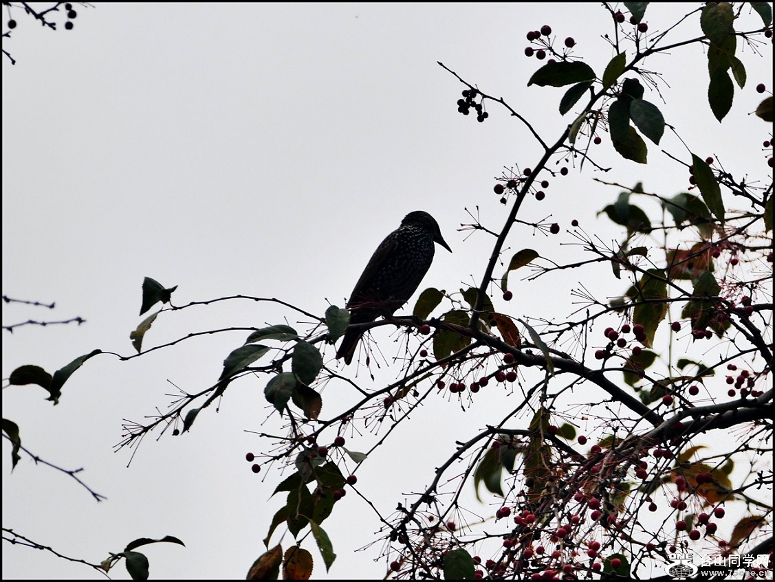l1000808_conew2.jpg