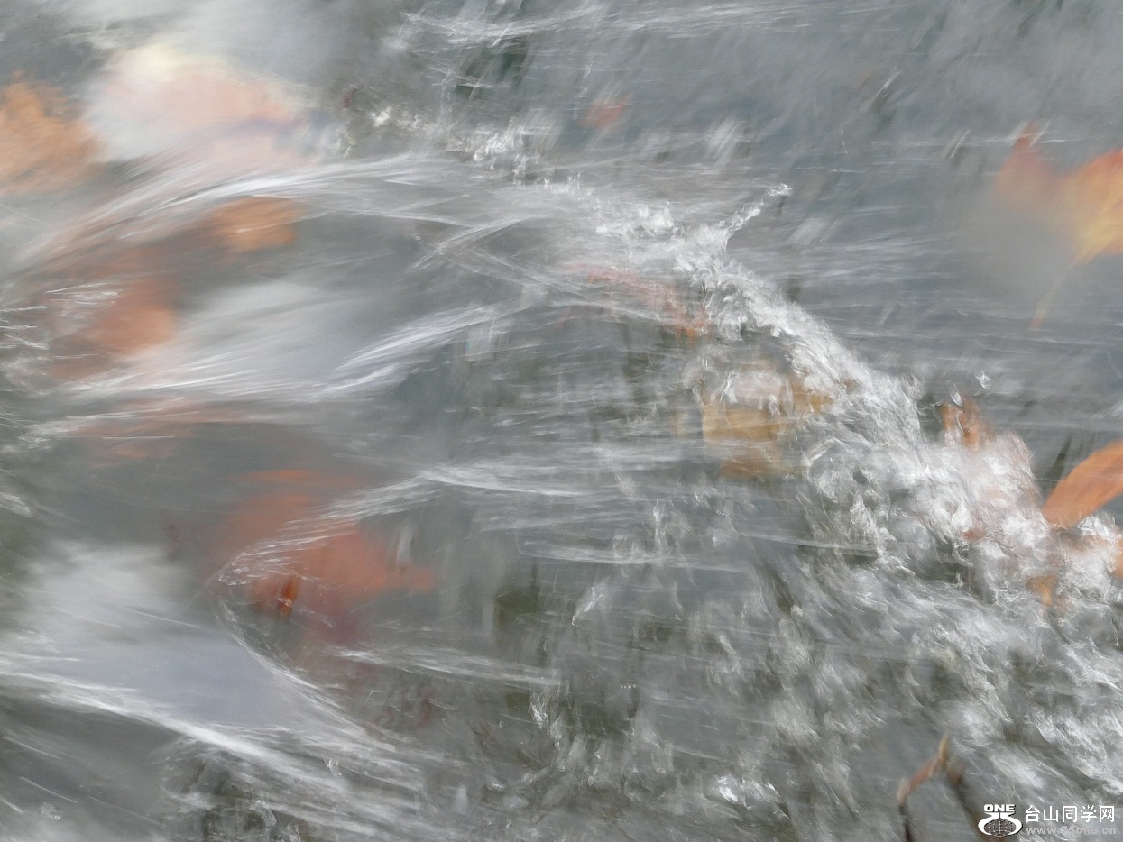 l1020280_conew2.jpg