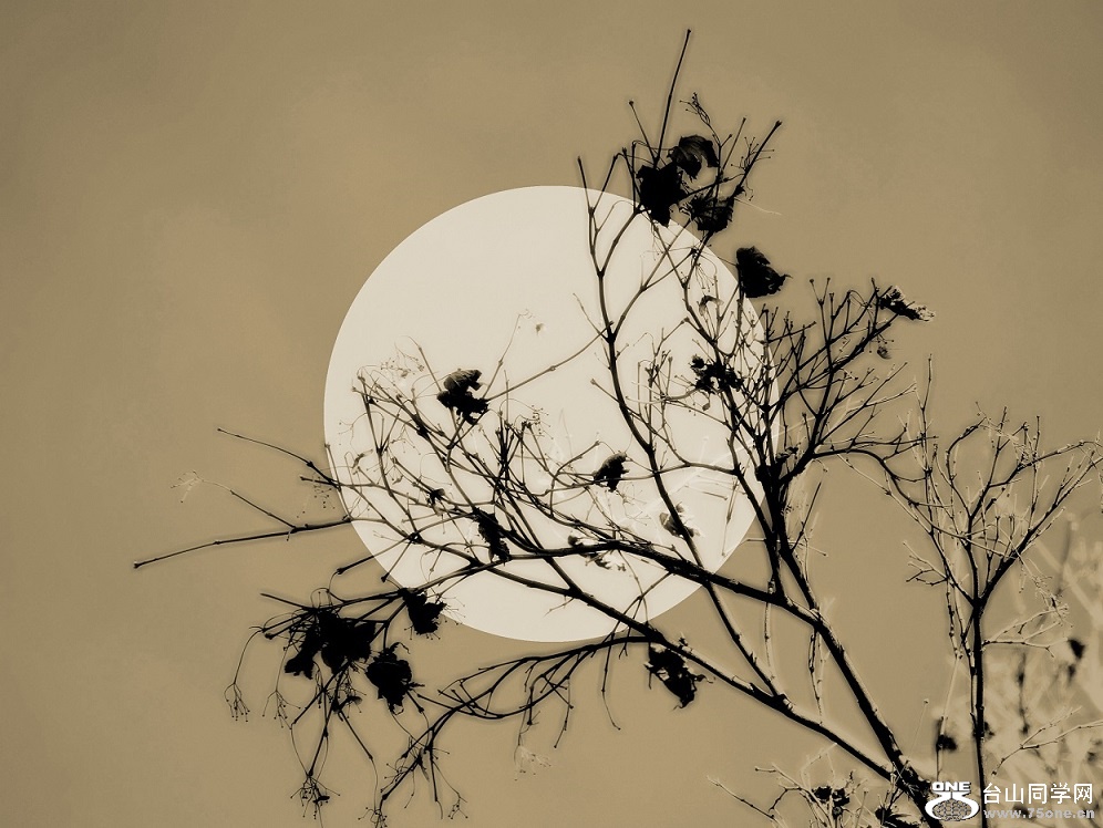 l1030254_conew3.jpg