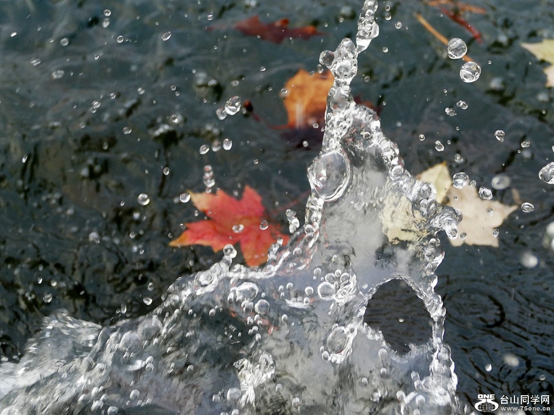 l1020362_conew1.jpg