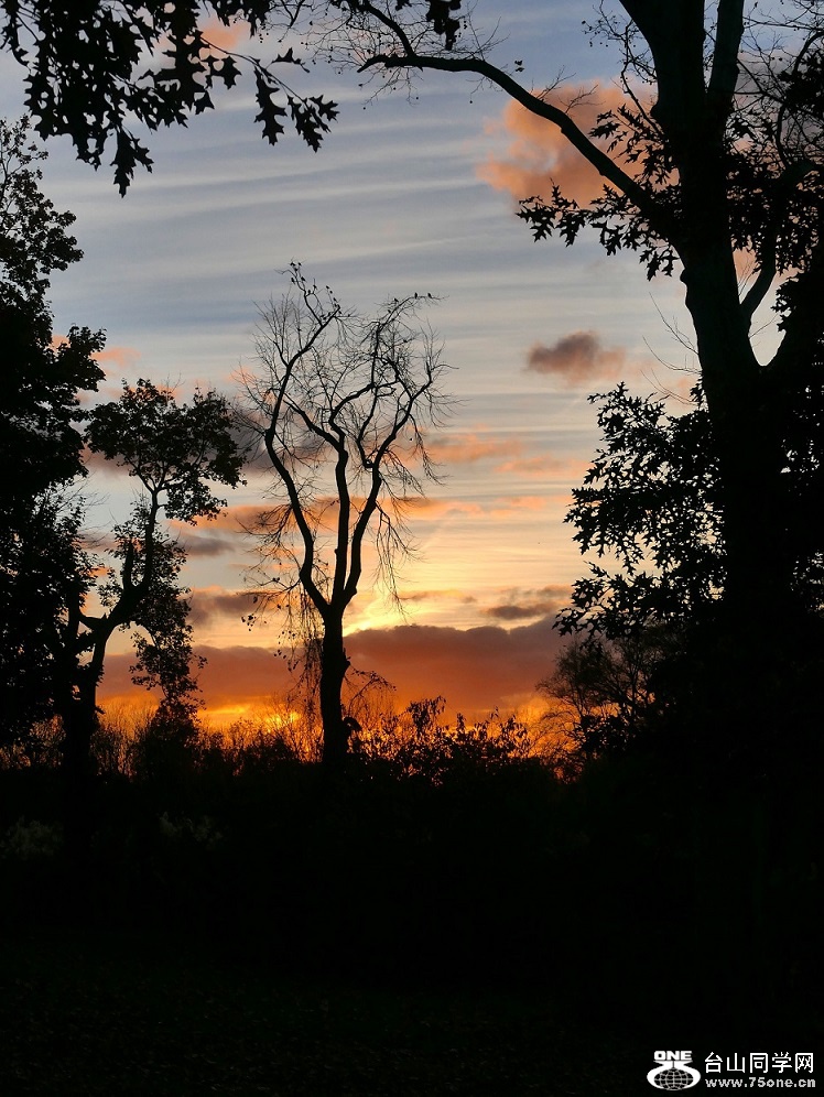 l1040014_conew1.jpg