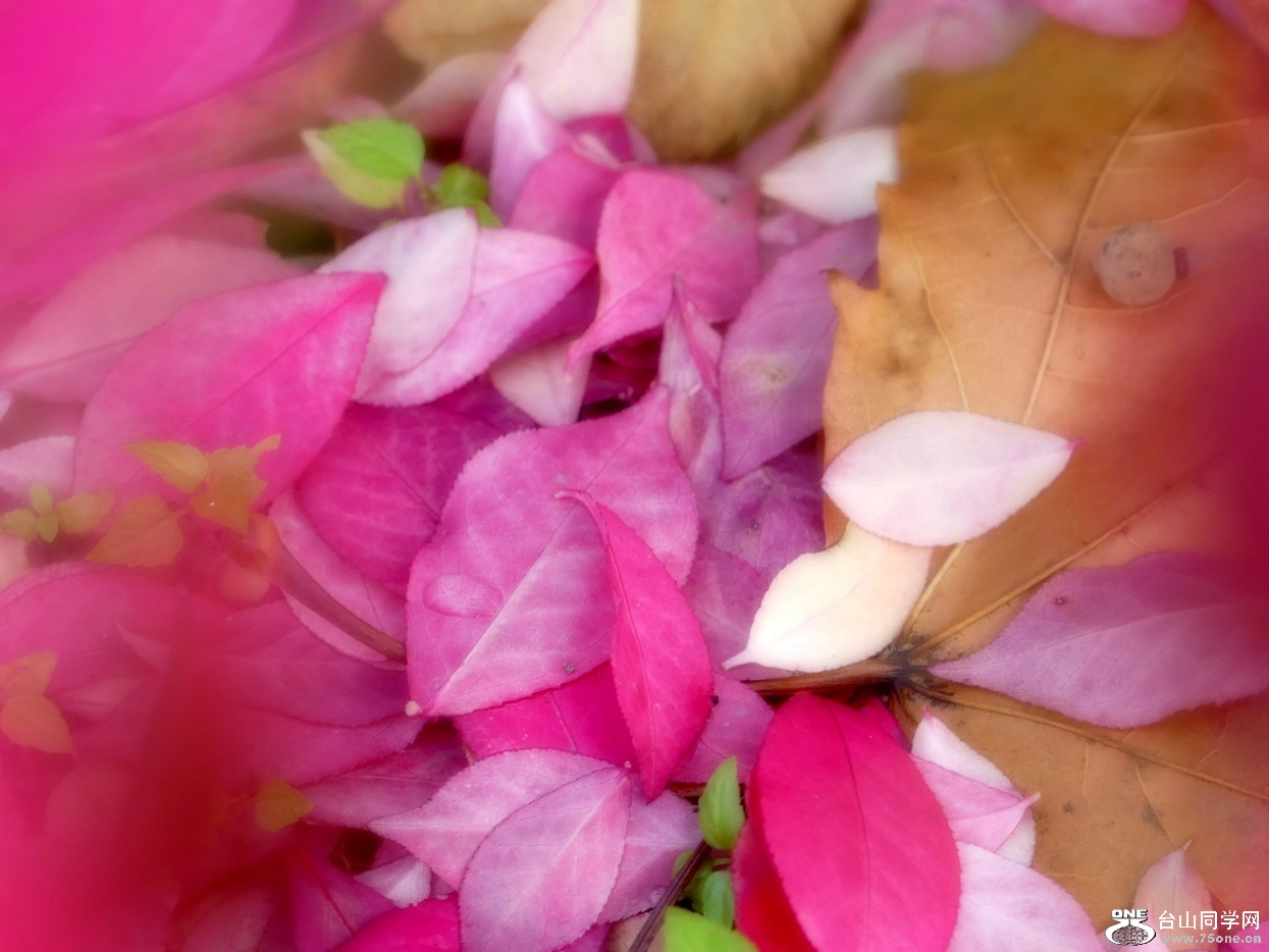l1000478_conew1.jpg