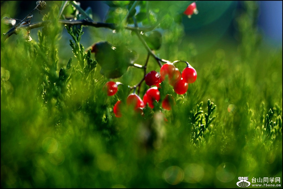 l1040202_conew1.jpg