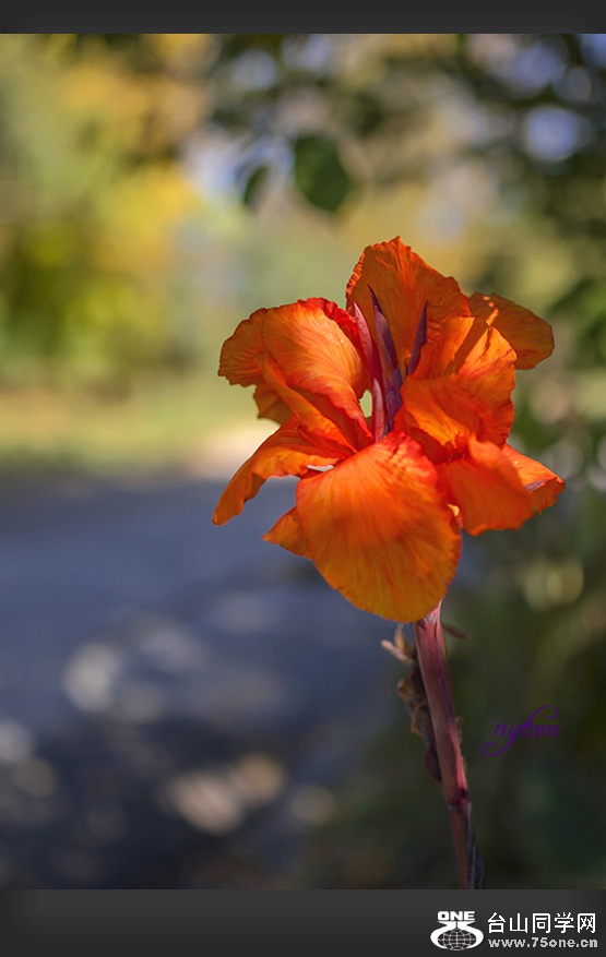 DSC_3854_.jpg