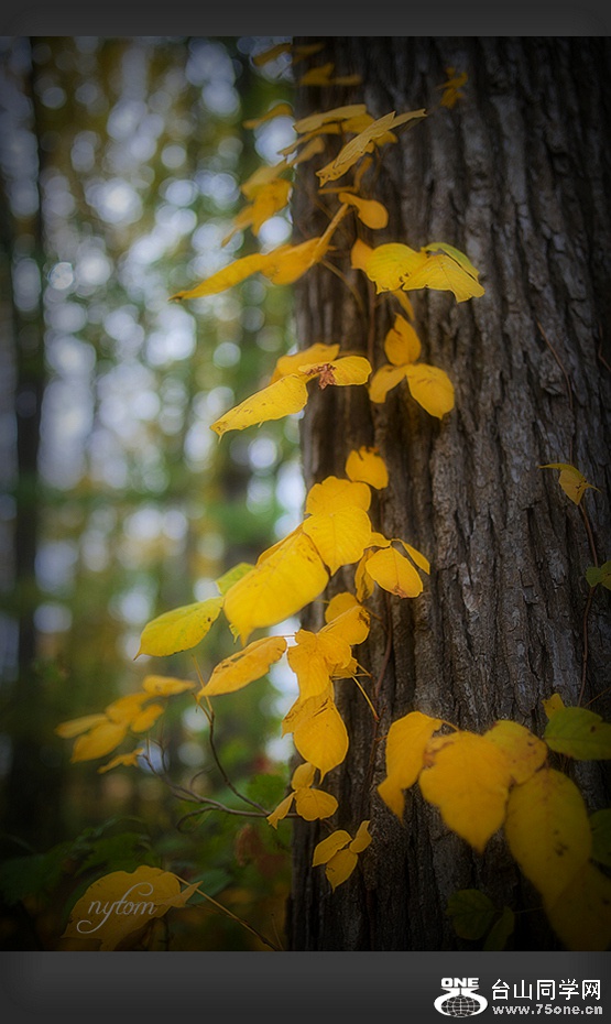 DSC_5598_.jpg