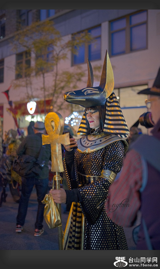 DSC_4864_.jpg