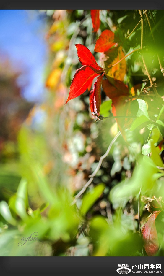 DSC_4048_.jpg