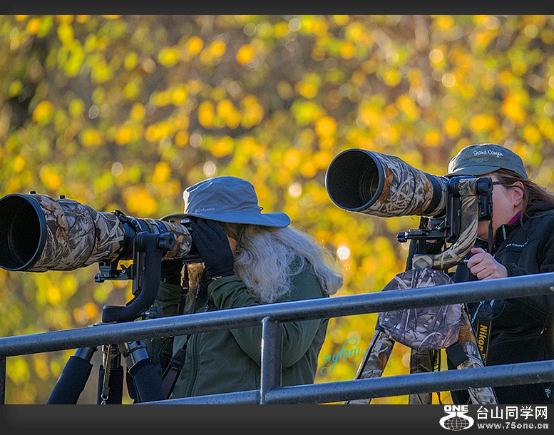 DSC_6303_.jpg
