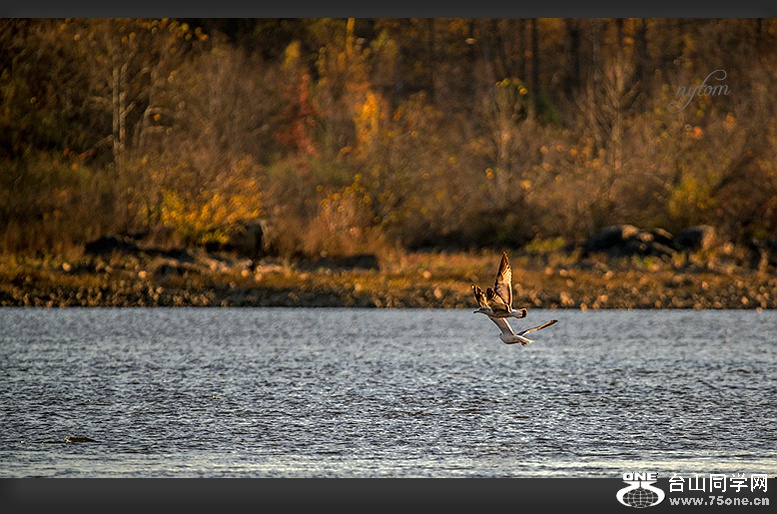 DSC_6385_.jpg
