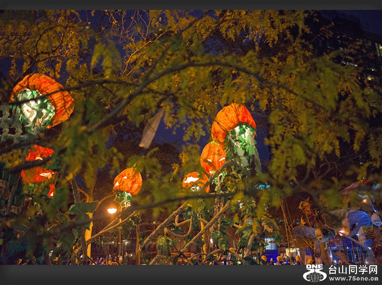 DSC_5058.._.jpg