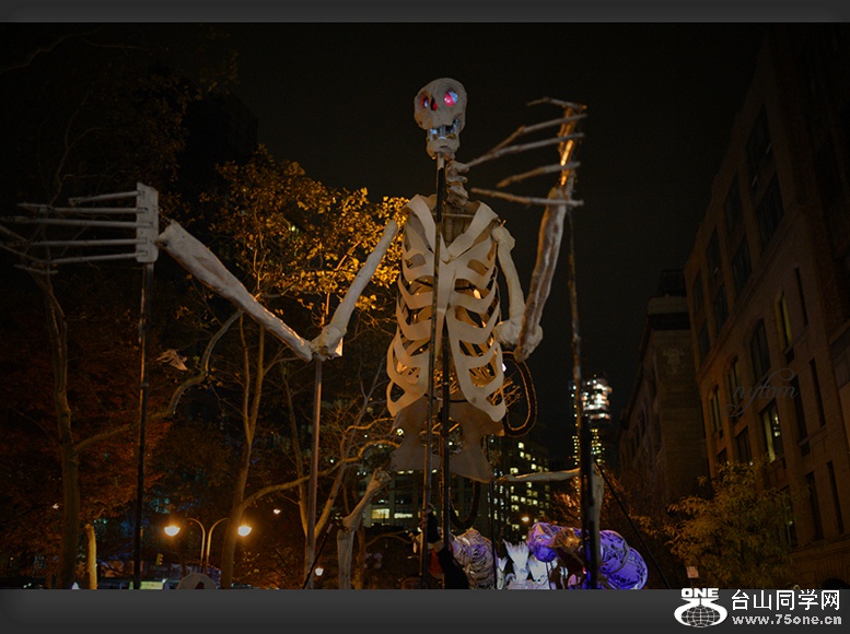 DSC_5336_.jpg