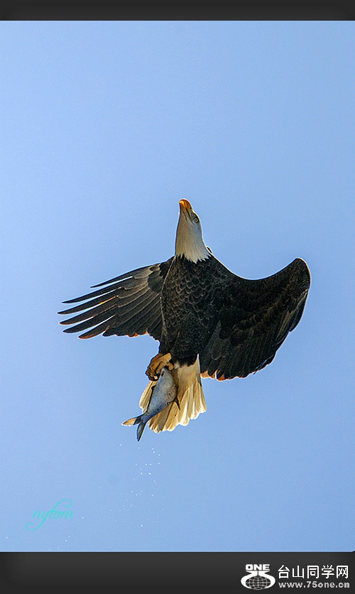 DSC_08.jpg