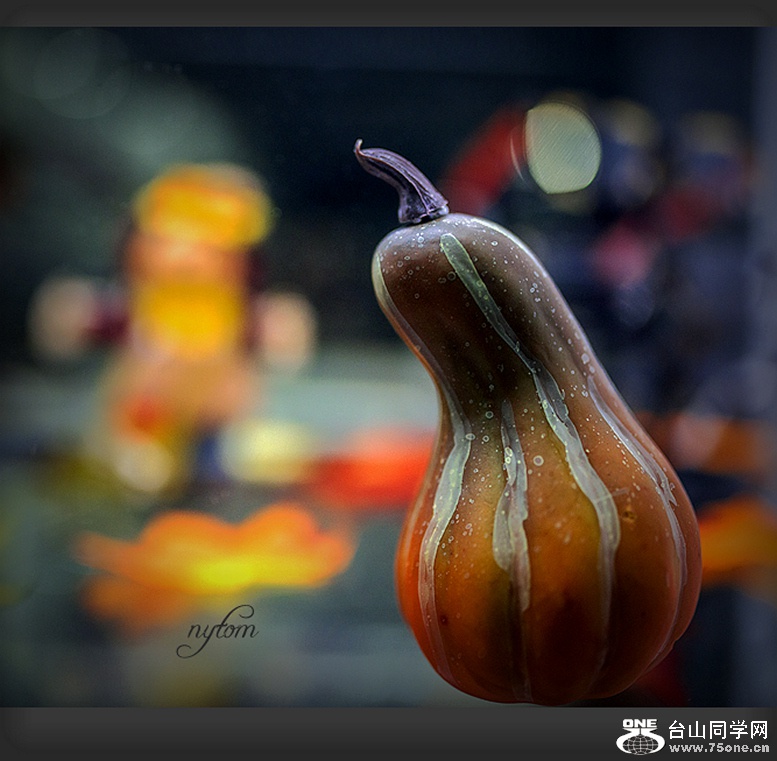 DSC_5495_.jpg