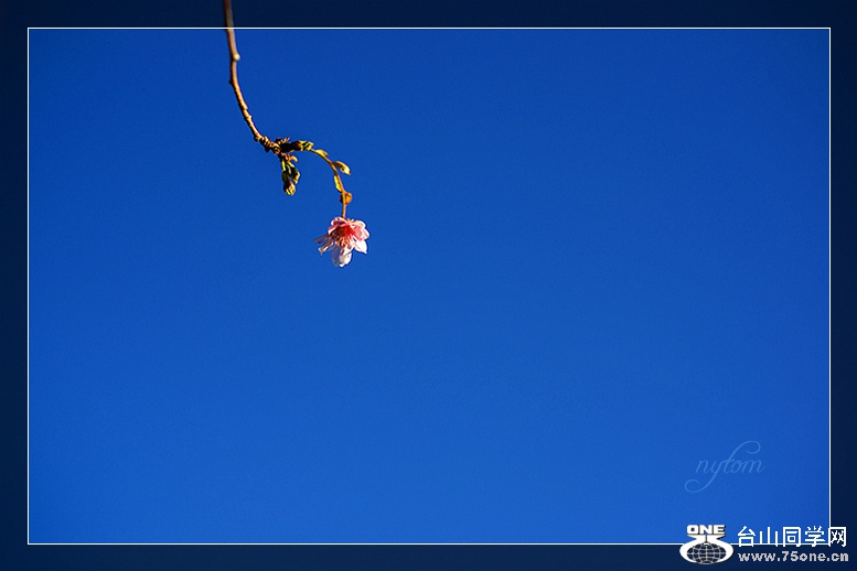 DSC_5921_.jpg