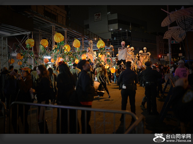 DSC_5329_.jpg