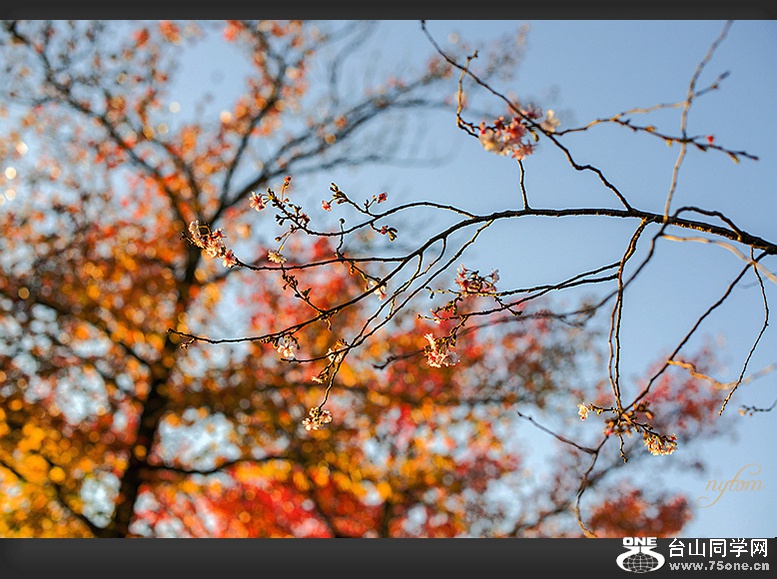 DSC_6048_.jpg