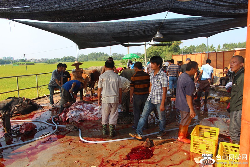 ��ˮ 260_����.jpg