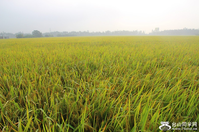 ��ˮ 312_����.jpg