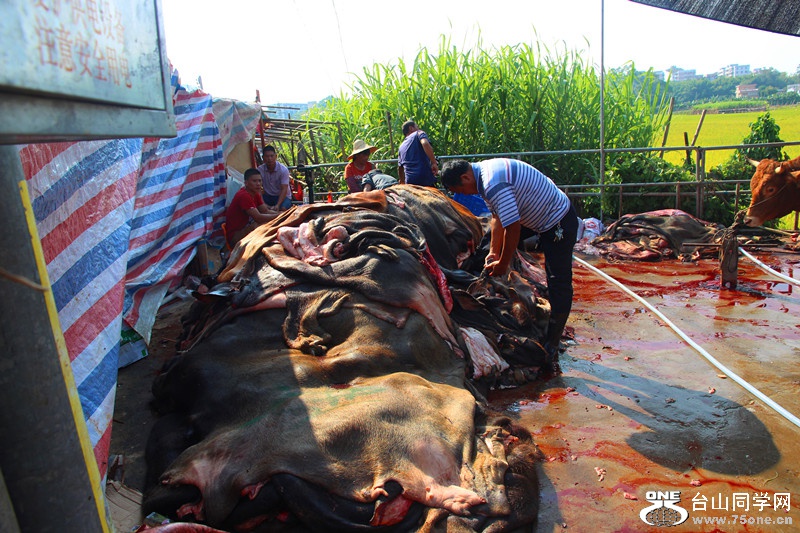 ��ˮ 258_����.jpg