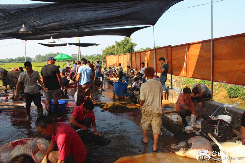 ��ˮ 261_����.jpg