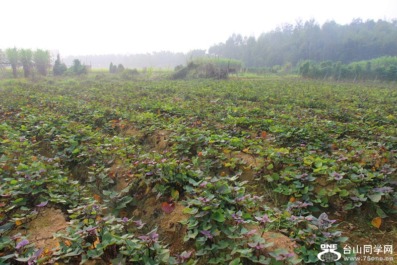 ��ˮ 314_����.jpg