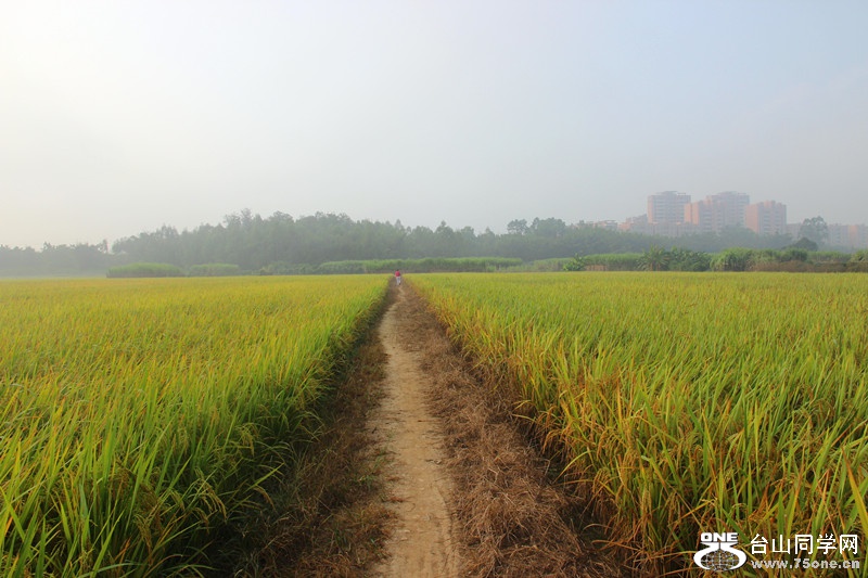 ��ˮ 310_����.jpg