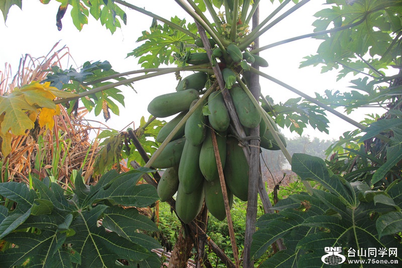 ��ˮ 327_����.jpg