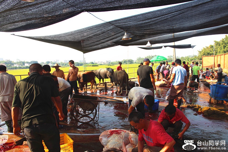 ��ˮ 262_����.jpg