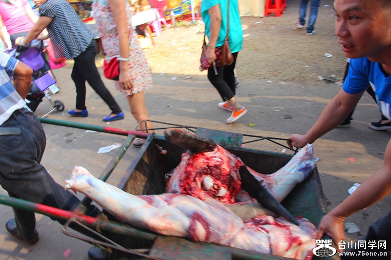 ��ˮ 269_����.jpg