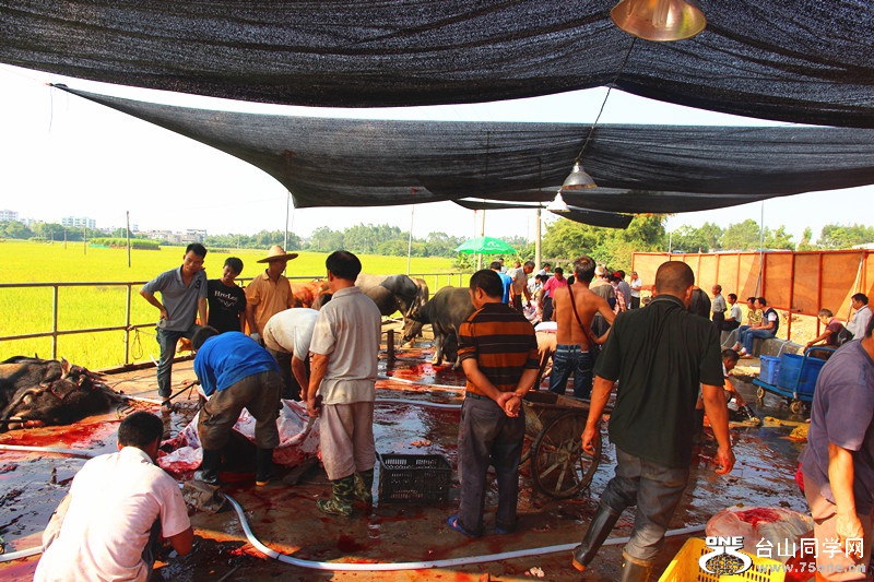 ��ˮ 265_����.jpg