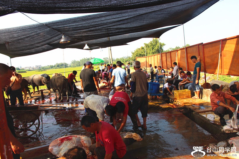 ��ˮ 263_����.jpg