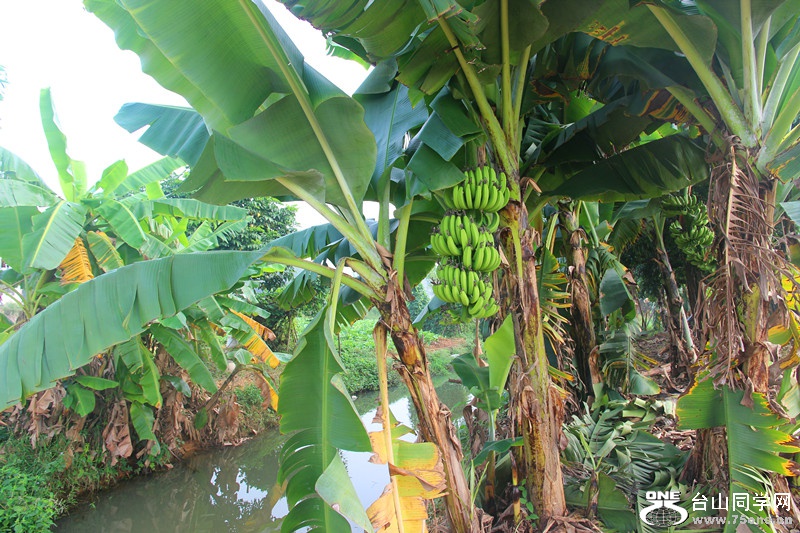 ��ˮ 323_����.jpg