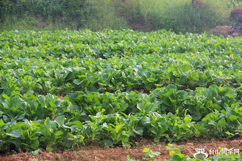 ��ˮ 324_����.jpg