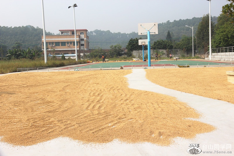 ��ˮ 370_����.jpg