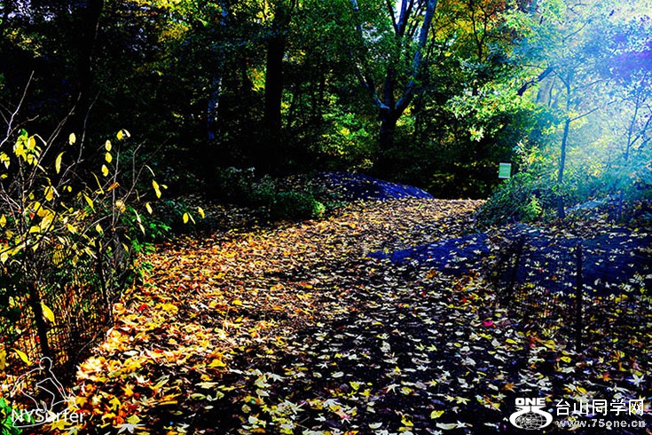 DSC_82022.jpg